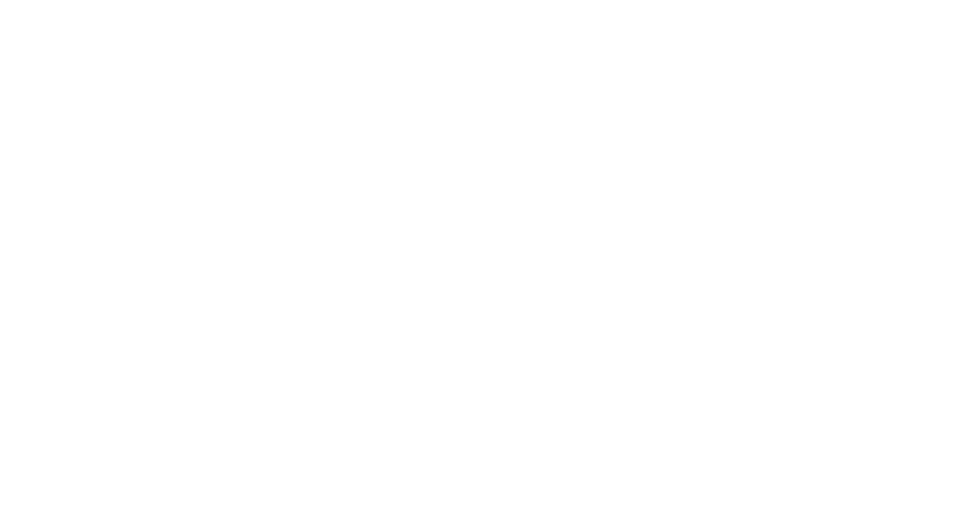 America in Action
